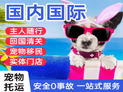 长安空运代理国际宠物托运 【国